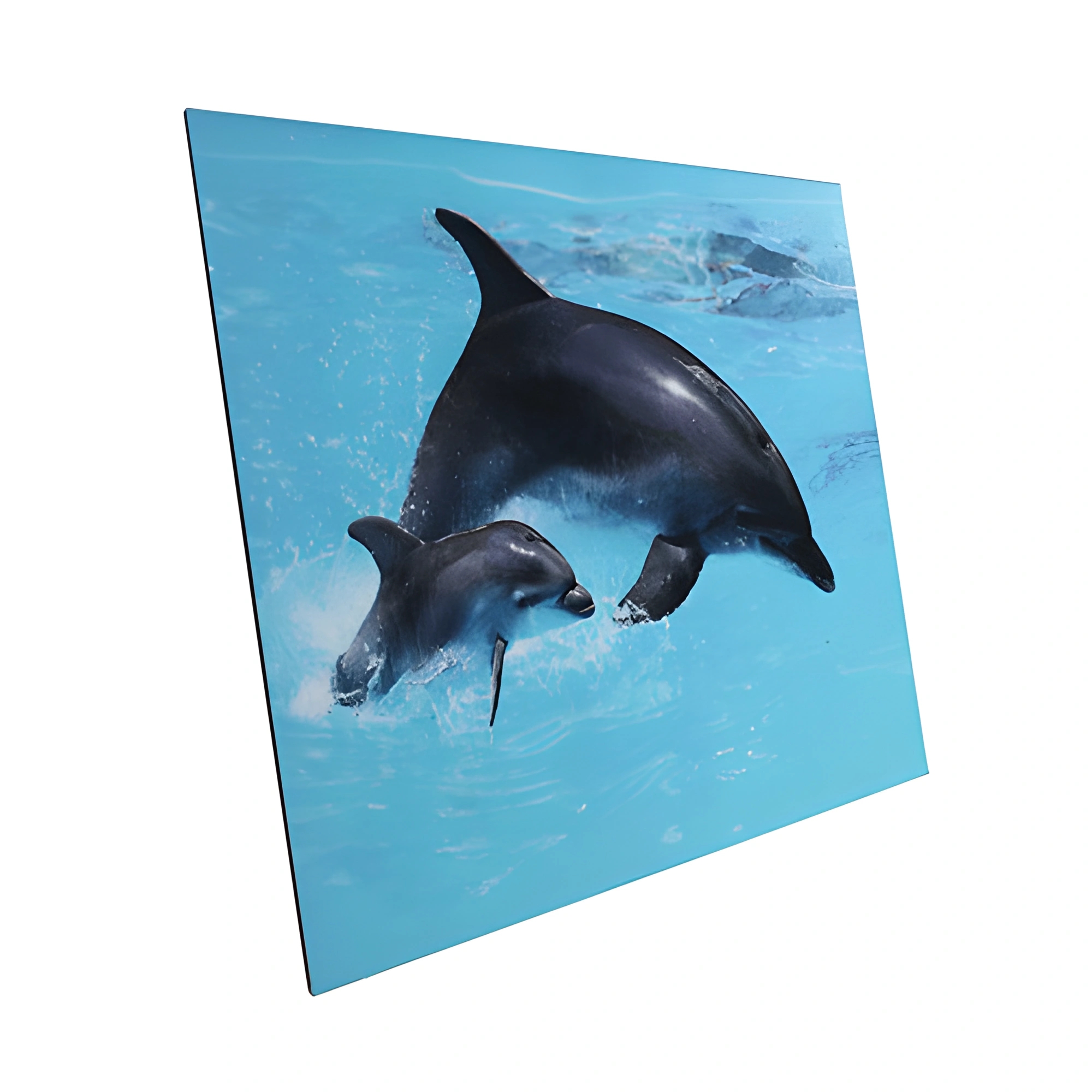 foam board negro