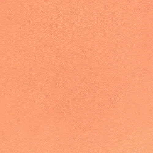 Melon