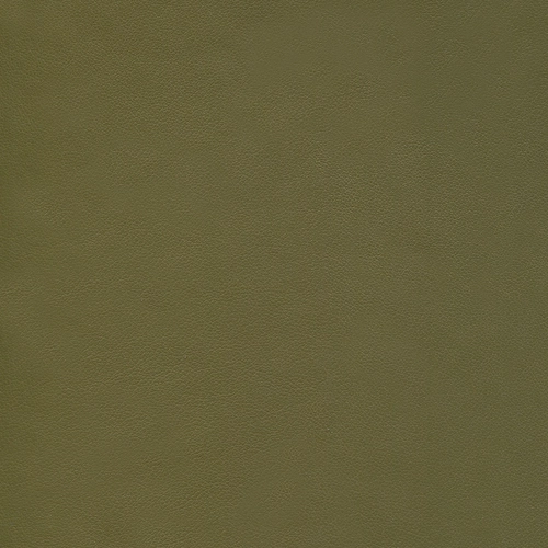 Olivo