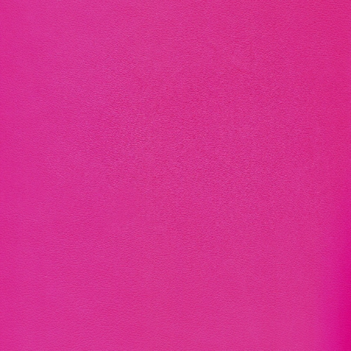 Rosa Saturno