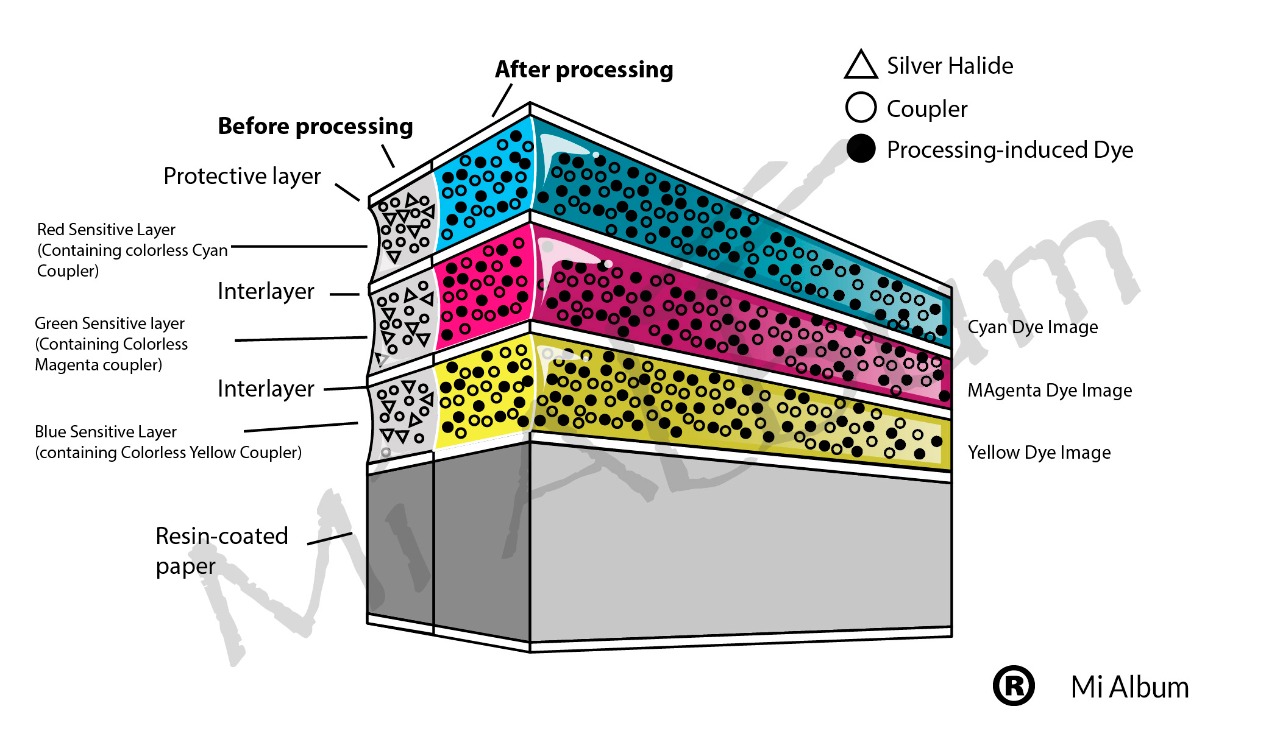 Papel fotográfico profesional de haluros de plata